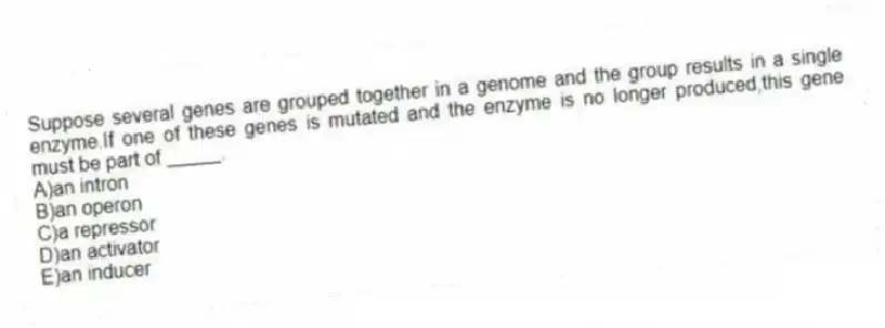 Suppose several genes are grouped together in a genome and the group results in a single enzyme.If one of these genes is mutated and the enzyme is no longer produced,this gene must be part of _____.
A)an intron
B)an operon
C)a repressor
D)an activator
E)an inducer
