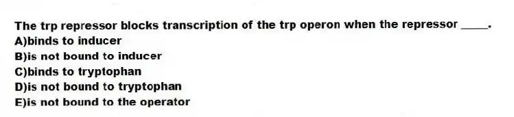 The trp repressor blocks transcription of the trp operon when the repressor _____.
A)binds to inducer
B)is not bound to inducer
C)binds to tryptophan
D)is not bound to tryptophan
E)is not bound to the operator