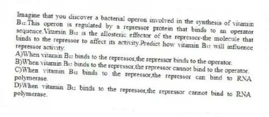 Imagine that you discover a bacterial operon involved in the synthesis of vitamin B₁₂.This operon is regulated by a repressor protein that binds to an operator sequence.Vitamin B₁₂ is the allosteric effector of the repressor-the molecule that binds to the repressor to affect its activity.Predict how vitamin B₁₂ will influence repressor activity.
A)When vitamin B₁₂ binds to the repressor,the repressor binds to the operator.
B)When vitamin B₁₂ binds to the repressor,the repressor cannot bind to the operator.
C)When vitamin B₁₂ binds to the repressor,the repressor can bind to RNA polymerase.
D)When vitamin B₁₂ binds to the repressor,the repressor cannot bind to RNA polymerase.