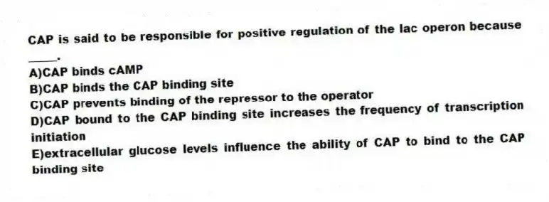 CAP is said to be responsible for positive regulation of the lac operon because _____.
A)CAP binds cAMP
B)CAP binds the CAP binding site
C)CAP prevents binding of the repressor to the operator
D)CAP bound to the CAP binding site increases the frequency of transcription initiation
E)extracellular glucose levels influence the ability of CAP to bind to the CAP binding site
