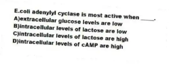 E.coli adenylyl cyclase is most active when _____.
A)extracellular glucose levels are low
B)intracellular levels of lactose are low
C)intracellular levels of lactose are high
D)intracellular levels of cAMP are high
