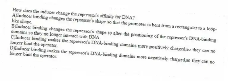 How does the inducer change the repressor's affinity for DNA?
A)Inducer binding changes the repressor's shape so that the promoter is bent from a rectangular to a loop-like shape.
B)Inducer binding changes the repressor's shape to alter the positioning of the repressor's DNA-binding domains so they no longer interact with DNA.
C)Inducer binding makes the repressor's DNA-binding domains more positively charged,so they can no longer bind the operator.
D)Inducer binding makes the repressor's DNA-binding domains more negatively charged,so they can no longer bind the operator.