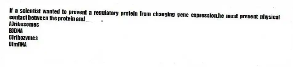 If a scientist wanted to prevent a regulatory protein from changing gene expression,he must prevent physical contact between the protein and _____.
A)ribosomes
B)DNA
C)ribozymes
D)mRNA