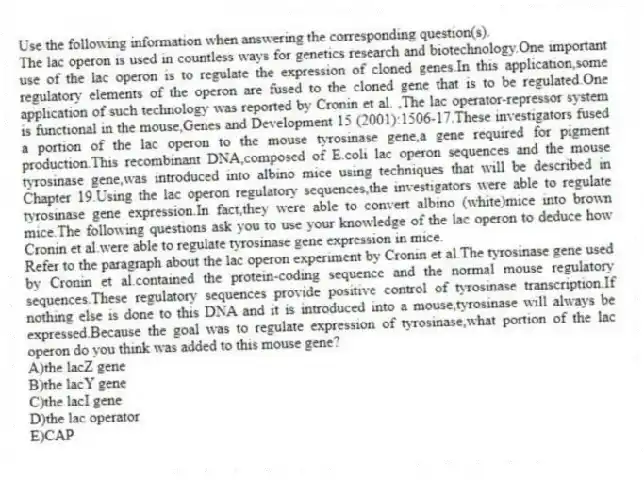 Use the following information when answering the corresponding question(s).
The lac operon is used in countless ways for genetics research and biotechnology.One important use of the lac operon is to regulate the expression of cloned genes.In this application,some regulatory elements of the operon are fused to the cloned gene that is to be regulated.One application of such technology was reported by Cronin et al. ,The lac operator-repressor system is functional in the mouse,Genes and Development 15 (2001):1506-17.These investigators fused a portion of the lac operon to the mouse tyrosinase gene,a gene required for pigment production.This recombinant DNA,composed of E.coli lac operon sequences and the mouse tyrosinase gene,was introduced into albino mice using techniques that will be described in Chapter 19.Using the lac operon regulatory sequences,the investigators were able to regulate tyrosinase gene expression.In fact,they were able to convert albino (white)mice into brown mice.The following questions ask you to use your knowledge of the lac operon to deduce how Cronin et al.were able to regulate tyrosinase gene expression in mice.
-Refer to the paragraph about the lac operon experiment by Cronin et al.The tyrosinase gene used by Cronin et al.contained the protein-coding sequence and the normal mouse regulatory sequences.These regulatory sequences provide positive control of tyrosinase transcription.If nothing else is done to this DNA and it is introduced into a mouse,tyrosinase will always be expressed.Because the goal was to regulate expression of tyrosinase,what portion of the lac operon do you think was added to this mouse gene?
A)the lacZ gene
B)the lacY gene
C)the lacI gene
D)the lac operator
E)CAP
