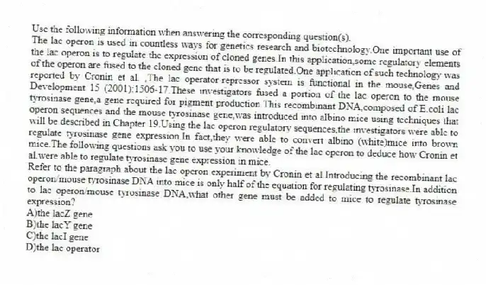 Use the following information when answering the corresponding question(s).
The lac operon is used in countless ways for genetics research and biotechnology.One important use of the lac operon is to regulate the expression of cloned genes.In this application,some regulatory elements of the operon are fused to the cloned gene that is to be regulated.One application of such technology was reported by Cronin et al. ,The lac operator-repressor system is functional in the mouse,Genes and Development 15 (2001):1506-17.These investigators fused a portion of the lac operon to the mouse tyrosinase gene,a gene required for pigment production.This recombinant DNA,composed of E.coli lac operon sequences and the mouse tyrosinase gene,was introduced into albino mice using techniques that will be described in Chapter 19.Using the lac operon regulatory sequences,the investigators were able to regulate tyrosinase gene expression.In fact,they were able to convert albino (white)mice into brown mice.The following questions ask you to use your knowledge of the lac operon to deduce how Cronin et al.were able to regulate tyrosinase gene expression in mice.
-Refer to the paragraph about the lac operon experiment by Cronin et al.Introducing the recombinant lac operon/mouse tyrosinase DNA into mice is only half of the equation for regulating tyrosinase.In addition to lac operon/mouse tyrosinase DNA,what other gene must be added to mice to regulate tyrosinase expression?
A)the lacZ gene
B)the lacY gene
C)the lacI gene
D)the lac operator