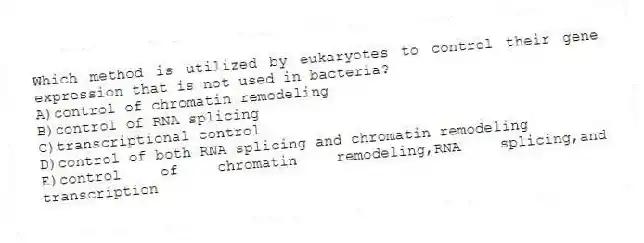 Which method is utilized by eukaryotes to control their gene expression that is not used in bacteria?
A)control of chromatin remodeling
B)control of RNA splicing
C)transcriptional control
D)control of both RNA splicing and chromatin remodeling
E)control of chromatin remodeling,RNA splicing,and transcription