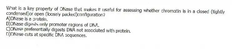 What is a key property of DNase that makes it useful for assessing whether chromatin is in a closed (tightly condensed)or open (loosely packed)configuration?
A)DNase is a protein.
B)DNase digests only promoter regions of DNA.
C)DNase preferentially digests DNA not associated with protein.
D)DNase cuts at specific DNA sequences.