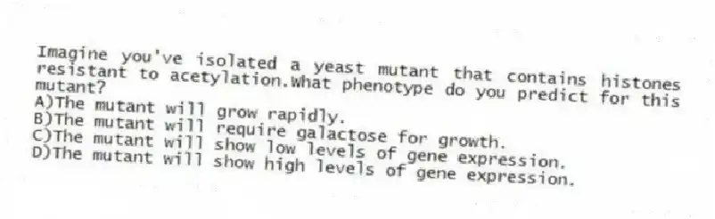 Imagine you've isolated a yeast mutant that contains histones resistant to acetylation.What phenotype do you predict for this mutant?
A)The mutant will grow rapidly.
B)The mutant will require galactose for growth.
C)The mutant will show low levels of gene expression.
D)The mutant will show high levels of gene expression.