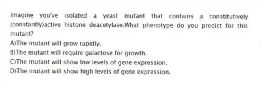 Imagine you've isolated a yeast mutant that contains a constitutively (constantly)active histone deacetylase.What phenotype do you predict for this mutant?
A)The mutant will grow rapidly.
B)The mutant will require galactose for growth.
C)The mutant will show low levels of gene expression.
D)The mutant will show high levels of gene expression.