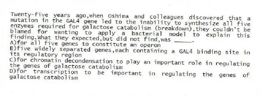 Twenty-five years ago,when Oshima and colleagues discovered that a mutation in the GAL4 gene led to the inability to synthesize all five enzymes required for galactose catabolism (breakdown),they couldn't be blamed for wanting to apply a bacterial model to explain this finding.What they expected,but did not find,was _____.
A)for all five genes to constitute an operon
B)five widely separated genes,each containing a GAL4 binding site in its regulatory region
C)for chromatin decondensation to play an important role in regulating the genes of galactose catabolism
D)for transcription to be important in regulating the genes of galactose catabolism