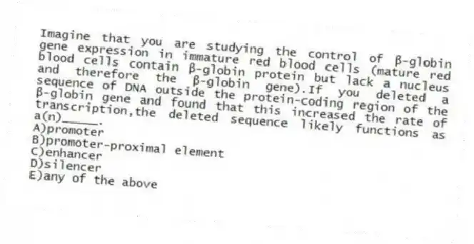 Imagine that you are studying the control of β-globin gene expression in immature red blood cells (mature red blood cells contain β-globin protein but lack a nucleus and therefore the β-globin gene).If you deleted a sequence of DNA outside the protein-coding region of the β-globin gene and found that this increased the rate of transcription,the deleted sequence likely functions as a(n)_____.
A)promoter
B)promoter-proximal element
C)enhancer
D)silencer
E)any of the above