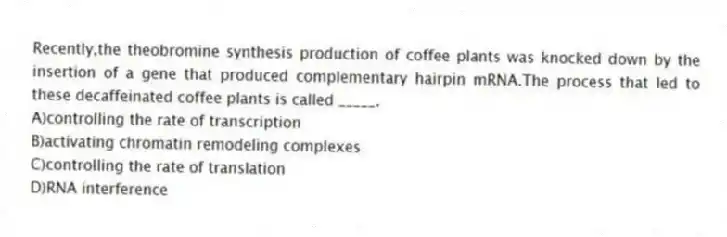 Recently,the theobromine synthesis production of coffee plants was knocked down by the insertion of a gene that produced complementary hairpin mRNA.The process that led to these decaffeinated coffee plants is called _____.
A)controlling the rate of transcription
B)activating chromatin remodeling complexes
C)controlling the rate of translation
D)RNA interference