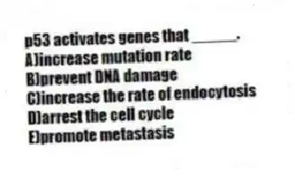 p53 activates genes that _____.
A)increase mutation rate
B)prevent DNA damage
C)increase the rate of endocytosis
D)arrest the cell cycle
E)promote metastasis