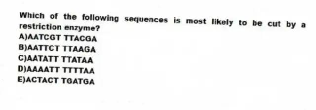 Which of the following sequences is most likely to be cut by a restriction enzyme?
A)AATCGT TTACGA
B)AATTCT TTAAGA
C)AATATT TTATAA
D)AAAATT TTTTAA
E)ACTACT TGATGA