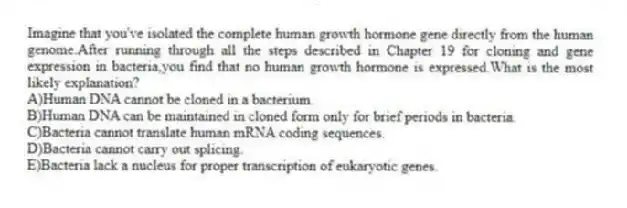 Imagine that you've isolated the complete human growth hormone gene directly from the human genome.After running through all the steps described in Chapter 19 for cloning and gene expression in bacteria,you find that no human growth hormone is expressed.What is the most likely explanation?
A)Human DNA cannot be cloned in a bacterium.
B)Human DNA can be maintained in cloned form only for brief periods in bacteria.
C)Bacteria cannot translate human mRNA coding sequences.
D)Bacteria cannot carry out splicing.
E)Bacteria lack a nucleus for proper transcription of eukaryotic genes.