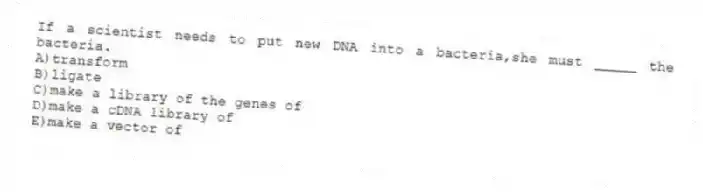 If a scientist needs to put new DNA into a bacteria,she must _____ the bacteria.
A)transform
B)ligate
C)make a library of the genes of
D)make a cDNA library of
E)make a vector of