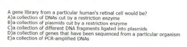 A gene library from a particular human's retinal cell would be?
A)a collection of DNAs cut by a restriction enzyme
B)a collection of plasmids cut by a restriction enzyme
C)a collection of different DNA fragments ligated into plasmids
D)a collection of genes that have been sequenced from a particular organism
E)a collection of PCR-amplified DNAs