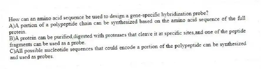 How can an amino acid sequence be used to design a gene-specific hybridization probe?
A)A portion of a polypeptide chain can be synthesized based on the amino acid sequence of the full protein.
B)A protein can be purified,digested with proteases that cleave it at specific sites,and one of the peptide fragments can be used as a probe.
C)All possible nucleotide sequences that could encode a portion of the polypeptide can be synthesized and used as probes.