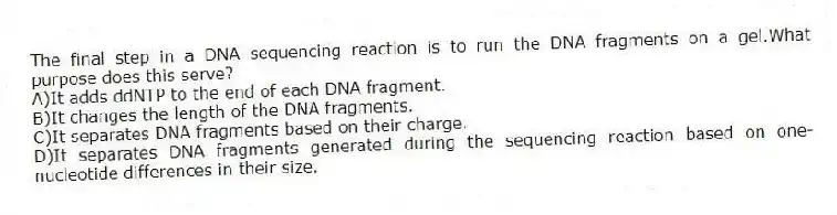 The final step in a DNA sequencing reaction is to run the DNA fragments on a gel.What purpose does this serve?
A)It adds ddNTP to the end of each DNA fragment.
B)It changes the length of the DNA fragments.
C)It separates DNA fragments based on their charge.
D)It separates DNA fragments generated during the sequencing reaction based on one-nucleotide differences in their size.
