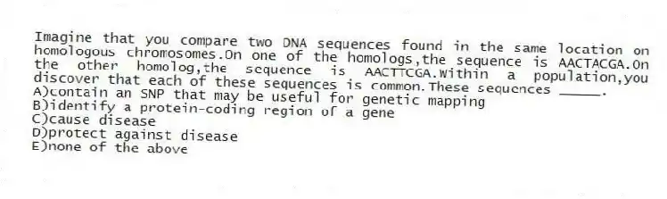 Imagine that you compare two DNA sequences found in the same location on homologous chromosomes.On one of the homologs,the sequence is AACTACGA.On the other homolog,the sequence is AACTTCGA.Within a population,you discover that each of these sequences is common.These sequences _____.
A)contain an SNP that may be useful for genetic mapping
B)identify a protein-coding region of a gene
C)cause disease
D)protect against disease
E)none of the above