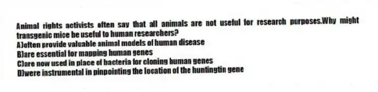 Animal rights activists often say that all animals are not useful for research purposes.Why might transgenic mice be useful to human researchers?
A)often provide valuable animal models of human disease
B)are essential for mapping human genes
C)are now used in place of bacteria for cloning human genes
D)were instrumental in pinpointing the location of the huntingtin gene