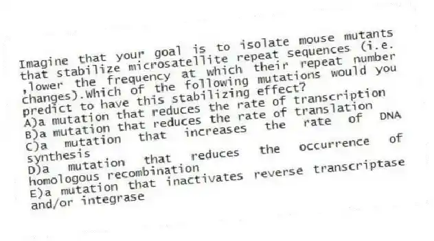 Imagine that your goal is to isolate mouse mutants that stabilize microsatellite repeat sequences (i.e. ,lower the frequency at which their repeat number changes).Which of the following mutations would you predict to have this stabilizing effect?
A)a mutation that reduces the rate of transcription
B)a mutation that reduces the rate of translation
C)a mutation that increases the rate of DNA synthesis
D)a mutation that reduces the occurrence of homologous recombination
E)a mutation that inactivates reverse transcriptase and/or integrase