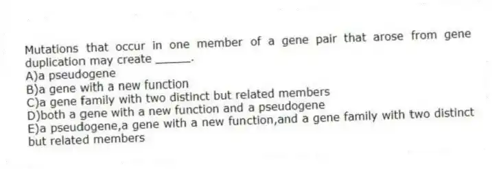 Mutations that occur in one member of a gene pair that arose from gene duplication may create _____.
A)a pseudogene
B)a gene with a new function
C)a gene family with two distinct but related members
D)both a gene with a new function and a pseudogene
E)a pseudogene,a gene with a new function,and a gene family with two distinct but related members