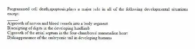 Programmed cell death,apoptosis,plays a major role in all of the following developmental situations except:
_____.
A)growth of nerves and blood vessels into a body segment
B)sculpting of digits in the developing hindlimb
C)growth of the atrial septum in the four-chambered mammalian heart
D)disappearance of the embryonic tail in developing humans