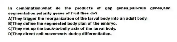 In combination,what do the products of gap genes,pair-rule genes,and segmentation polarity genes of fruit flies do?
A)They trigger the reorganization of the larval body into an adult body.
B)They define the segmented body plan of the embryo.
C)They set up the back-to-belly axis of the larval body.
D)They direct cell movements during differentiation.
