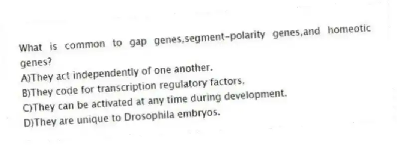 What is common to gap genes,segment-polarity genes,and homeotic genes?
A)They act independently of one another.
B)They code for transcription regulatory factors.
C)They can be activated at any time during development.
D)They are unique to Drosophila embryos.
