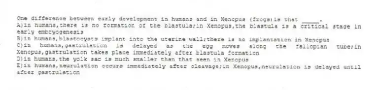 One difference between early development in humans and in Xenopus (frogs)is that _____.
A)in humans,there is no formation of the blastula;in Xenopus,the blastula is a critical stage in early embryogenesis
B)in humans,blastocysts implant into the uterine wall;there is no implantation in Xenopus
C)in humans,gastrulation is delayed as the egg moves along the fallopian tube;in Xenopus,gastrulation takes place immediately after blastula formation
D)in humans,the yolk sac is much smaller than that seen in Xenopus
E)in humans,neurulation occurs immediately after cleavage;in Xenopus,neurulation is delayed until after gastrulation