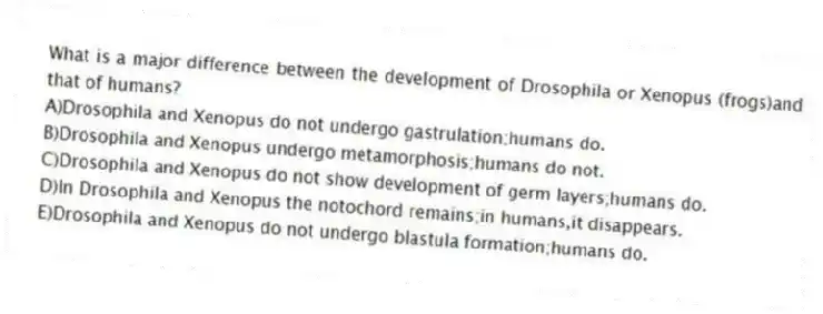 What is a major difference between the development of Drosophila or Xenopus (frogs)and that of humans?
A)Drosophila and Xenopus do not undergo gastrulation;humans do.
B)Drosophila and Xenopus undergo metamorphosis;humans do not.
C)Drosophila and Xenopus do not show development of germ layers;humans do.
D)In Drosophila and Xenopus the notochord remains;in humans,it disappears.
E)Drosophila and Xenopus do not undergo blastula formation;humans do.