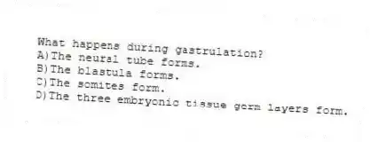 What happens during gastrulation?
A)The neural tube forms.
B)The blastula forms.
C)The somites form.
D)The three embryonic tissue germ layers form.