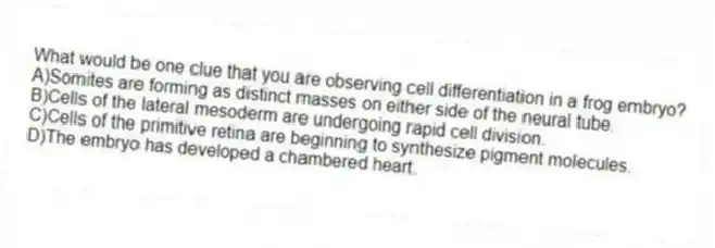 What would be one clue that you are observing cell differentiation in a frog embryo?
A)Somites are forming as distinct masses on either side of the neural tube.
B)Cells of the lateral mesoderm are undergoing rapid cell division.
C)Cells of the primitive retina are beginning to synthesize pigment molecules.
D)The embryo has developed a chambered heart.
