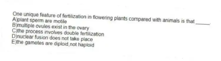 One unique feature of fertilization in flowering plants compared with animals is that _____.
A)plant sperm are motile
B)multiple ovules exist in the ovary
C)the process involves double fertilization
D)nuclear fusion does not take place
E)the gametes are diploid,not haploid