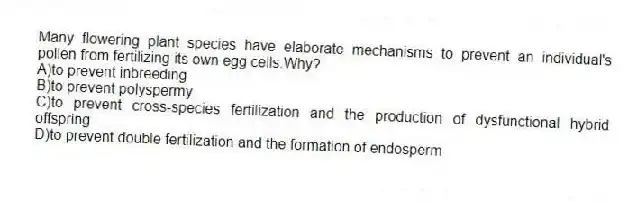 Many flowering plant species have elaborate mechanisms to prevent an individual's pollen from fertilizing its own egg cells.Why?
A)to prevent inbreeding
B)to prevent polyspermy
C)to prevent cross-species fertilization and the production of dysfunctional hybrid offspring
D)to prevent double fertilization and the formation of endosperm