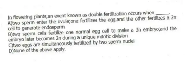 In flowering plants,an event known as double fertilization occurs when _____.
A)two sperm enter the ovule;one fertilizes the egg,and the other fertilizes a 2n cell to generate endosperm
B)two sperm cells fertilize one normal egg cell to make a 3n embryo,and the embryo later becomes 2n during a unique mitotic division
C)two eggs are simultaneously fertilized by two sperm nuclei
D)None of the above apply.