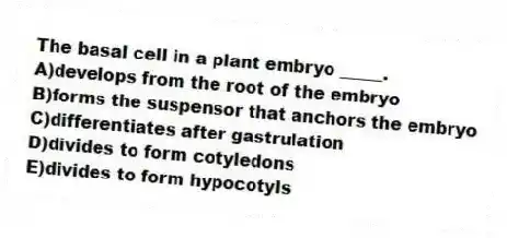 The basal cell in a plant embryo _____.
A)develops from the root of the embryo
B)forms the suspensor that anchors the embryo
C)differentiates after gastrulation
D)divides to form cotyledons
E)divides to form hypocotyls