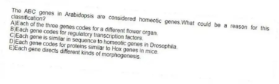 The ABC genes in Arabidopsis are considered homeotic genes.What could be a reason for this classification?
A)Each of the three genes codes for a different flower organ.
B)Each gene codes for regulatory transcription factors.
C)Each gene is similar in sequence to homeotic genes in Drosophila.
D)Each gene codes for proteins similar to Hox genes in mice.
E)Each gene directs different kinds of morphogenesis.