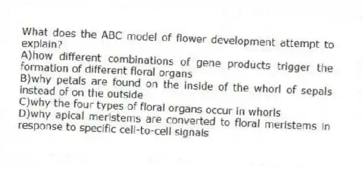 What does the ABC model of flower development attempt to explain?
A)how different combinations of gene products trigger the formation of different floral organs
B)why petals are found on the inside of the whorl of sepals instead of on the outside
C)why the four types of floral organs occur in whorls
D)why apical meristems are converted to floral meristems in response to specific cell-to-cell signals