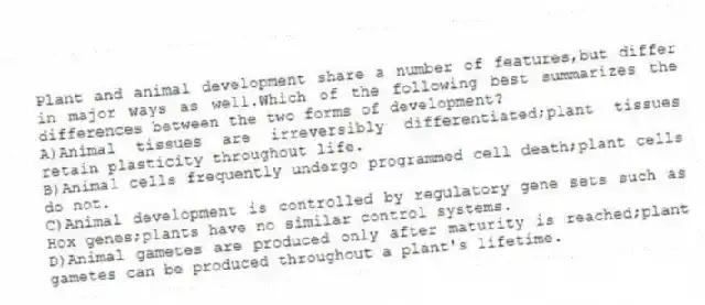 Plant and animal development share a number of features,but differ in major ways as well.Which of the following best summarizes the differences between the two forms of development?
A)Animal tissues are irreversibly differentiated;plant tissues retain plasticity throughout life.
B)Animal cells frequently undergo programmed cell death;plant cells do not.
C)Animal development is controlled by regulatory gene sets such as Hox genes;plants have no similar control systems.
D)Animal gametes are produced only after maturity is reached;plant gametes can be produced throughout a plant's lifetime.