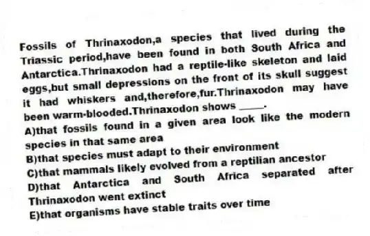 Fossils of Thrinaxodon,a species that lived during the Triassic period,have been found in both South Africa and Antarctica.Thrinaxodon had a reptile-like skeleton and laid eggs,but small depressions on the front of its skull suggest it had whiskers and,therefore,fur.Thrinaxodon may have been warm-blooded.Thrinaxodon shows _____.
A)that fossils found in a given area look like the modern species in that same area
B)that species must adapt to their environment
C)that mammals likely evolved from a reptilian ancestor
D)that Antarctica and South Africa separated after Thrinaxodon went extinct
E)that organisms have stable traits over time