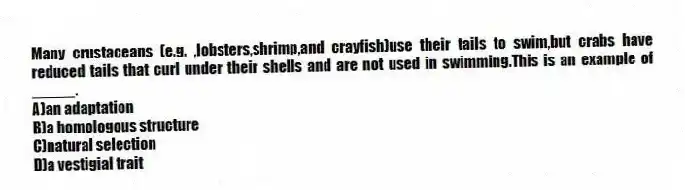 Many crustaceans (e.g. ,lobsters,shrimp,and crayfish)use their tails to swim,but crabs have reduced tails that curl under their shells and are not used in swimming.This is an example of _____.
A)an adaptation
B)a homologous structure
C)natural selection
D)a vestigial trait