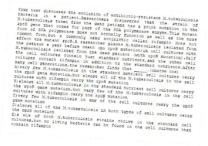 Your text discusses the evolution of antibiotic-resistant M.tuberculosis bacteria in a patient.Researchers discovered that the strain of M.tuberculosis taken from the dead patient has a point mutation in the rpoB gene that codes for part of the RNA polymerase enzyme.This mutant form of RNA polymerase does not normally function as well as the more common form,but a commonly used antibiotic called rifampin does not affect the mutant rpoB.A researcher places M.tuberculosis isolated from the patient a year before death (no rpoB mutation)in cell cultures with M.tuberculosis isolated from the dead patient (with rpoB mutation).Half the cell cultures contain just standard nutrients,and the other cell cultures contain rifampin in addition to the standard nutrients.After many cell generations,the researcher finds that _____.(choose one)
A)very few M.tuberculosis in the standard nutrient cell cultures carry the rpoB gene mutation,but almost all of the M.tuberculosis in the cell cultures with rifampin carry the rpoB mutation
B)almost all M.tuberculosis in the standard nutrient cell cultures carry the rpoB gene mutation,but very few of the M.tuberculosis in the cell cultures with rifampin carry the rpoB mutation
C)very few M.tuberculosis in any of the cell cultures carry the rpoB gene mutation
D)almost all of the M.tuberculosis in both types of cell cultures carry the rpoB mutation
E)a mix of both M.tuberculosis strains thrive in the standard cell cultures,but no living bacteria can be found in the cell cultures that contain rifampin