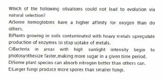 Which of the following situations could not lead to evolution via natural selection?
A)Some hemoglobins have a higher affinity for oxygen than do others.
B)Plants growing in soils contaminated with heavy metals upregulate production of enzymes to stop uptake of metals.
C)Bacteria in areas with high sunlight intensity begin to photosynthesize faster,making more sugar in a given time period.
D)Some plant species can absorb nitrogen better than others can.
E)Larger fungi produce more spores than smaller fungi.