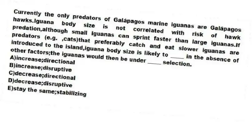 Currently the only predators of Galápagos marine iguanas are Galápagos hawks.Iguana body size is not correlated with risk of hawk predation,although small iguanas can sprint faster than large iguanas.If predators (e.g. ,cats)that preferably catch and eat slower iguanas are introduced to the island,iguana body size is likely to _____ in the absence of other factors;the iguanas would then be under _____ selection.
A)increase;directional
B)increase;disruptive
C)decrease;directional
D)decrease;disruptive
E)stay the same;stabilizing