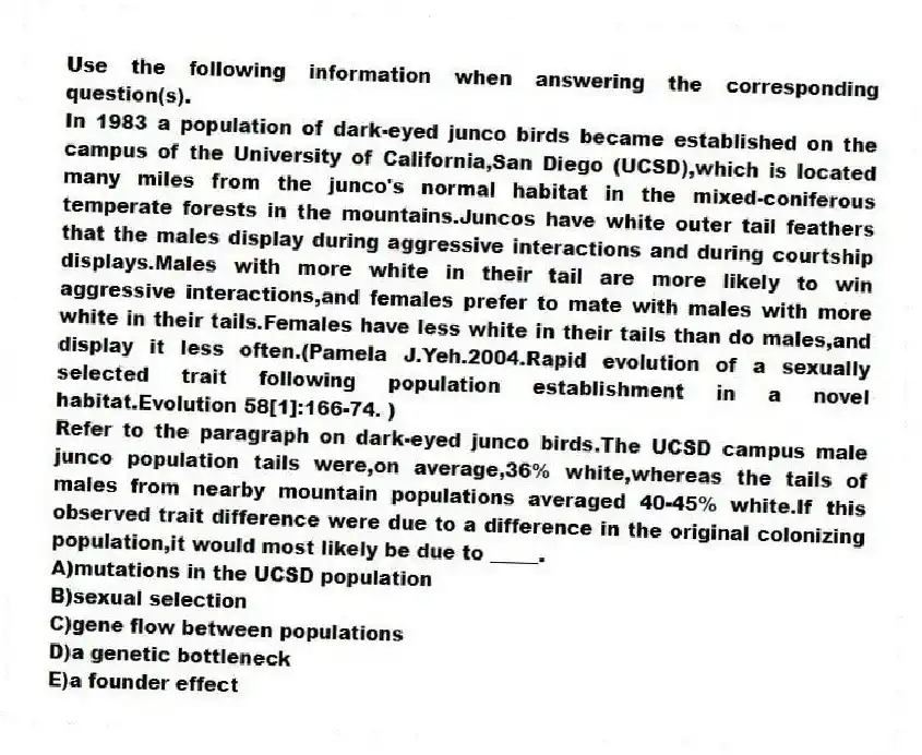 Use the following information when answering the corresponding question(s).
In 1983 a population of dark-eyed junco birds became established on the campus of the University of California,San Diego (UCSD),which is located many miles from the junco's normal habitat in the mixed-coniferous temperate forests in the mountains.Juncos have white outer tail feathers that the males display during aggressive interactions and during courtship displays.Males with more white in their tail are more likely to win aggressive interactions,and females prefer to mate with males with more white in their tails.Females have less white in their tails than do males,and display it less often.(Pamela J.Yeh.2004.Rapid evolution of a sexually selected trait following population establishment in a novel habitat.Evolution 58[1]:166-74. )
-Refer to the paragraph on dark-eyed junco birds.The UCSD campus male junco population tails were,on average,36% white,whereas the tails of males from nearby mountain populations averaged 40-45% white.If this observed trait difference were due to a difference in the original colonizing population,it would most likely be due to _____.
A)mutations in the UCSD population
B)sexual selection
C)gene flow between populations
D)a genetic bottleneck
E)a founder effect