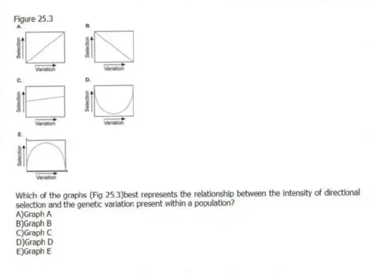 Figure 25.3
-Which of the graphs (Fig 25.3)best represents the relationship between the intensity of directional selection and the genetic variation present within a population?
A)Graph A
B)Graph B
C)Graph C
D)Graph D
E)Graph E