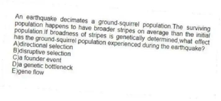 An earthquake decimates a ground-squirrel population.The surviving population happens to have broader stripes on average than the initial population.If broadness of stripes is genetically determined,what effect has the ground-squirrel population experienced during the earthquake?
A)directional selection
B)disruptive selection
C)a founder event
D)a genetic bottleneck
E)gene flow