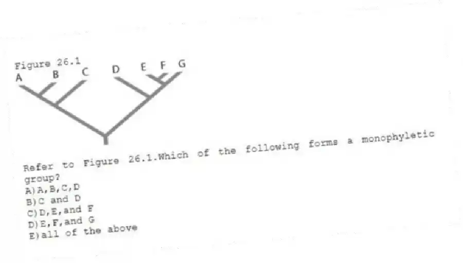 Figure 26.1
-Refer to Figure 26.1.Which of the following forms a monophyletic group?
A)A,B,C,D
B)C and D
C)D,E,and F
D)E,F,and G
E)all of the above